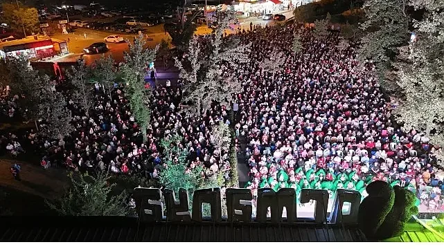 Ormanya gece sineması 5 bin katılımcıyla rekor kırdı