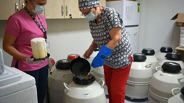 Türkiye’nin ilk Tüp Bebek Merkezinde anne baba olma hayaline bilimsel dokunuş