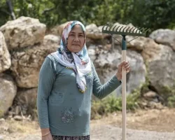 Yenişehir Belediyesinin desteğiyle safran üreticisi sayısı artıyor