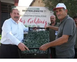Yüzde 50 Hibeli Kışlık Sebze Fidesi Desteği Üreticilerle Buluştu