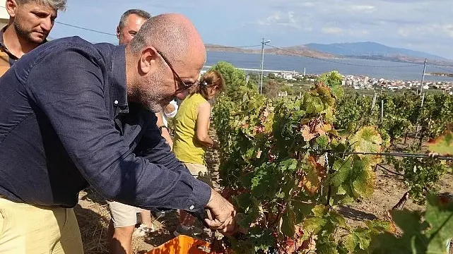 6–7 Eylül’de Bir Başkadır Avşa Etkinliği’nin Programı Açıklandı