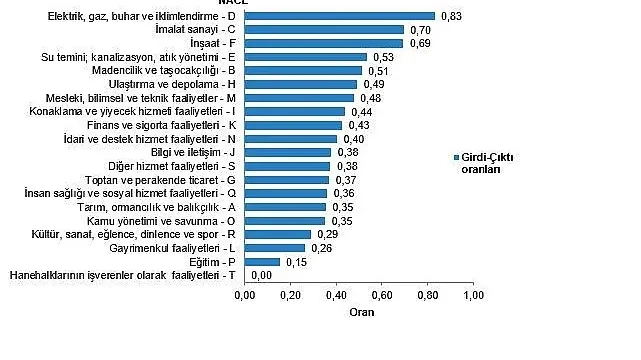 Arz ve Kullanım Tabloları, Girdi-Çıktı Tabloları, 2023