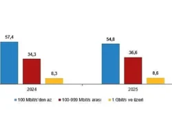 Girişimlerde Bilişim Teknolojileri Kullanım Araştırması, 2025