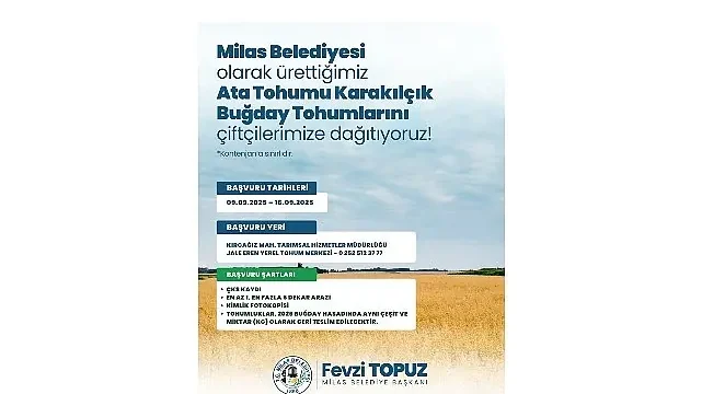 Milas Belediyesi’nden Üreticilere Karakılçık Buğday Tohumu Desteği