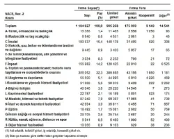 Sektör Bilançoları, 2024