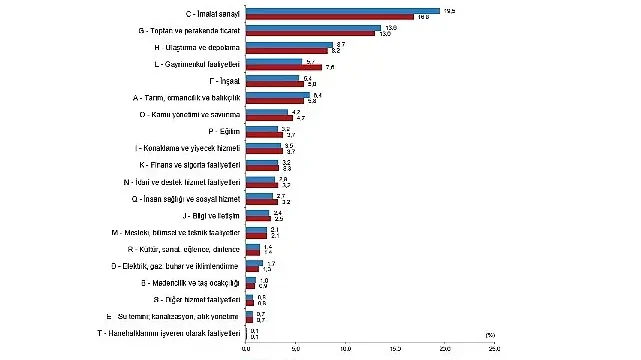 Yıllık Gayrisafi Yurt İçi Hasıla, 2024