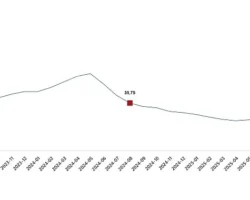 Yurt İçi Üretici Fiyat Endeksi, Ağustos 2025