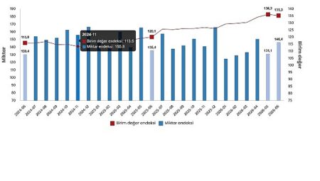 Dış Ticaret Endeksleri, Haziran 2026