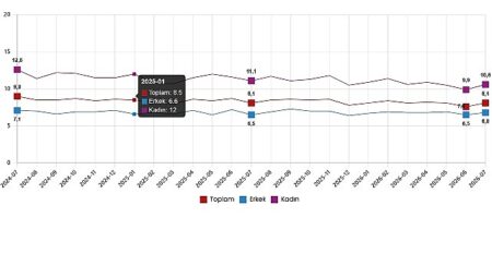 İşgücü İstatistikleri, Temmuz 2026