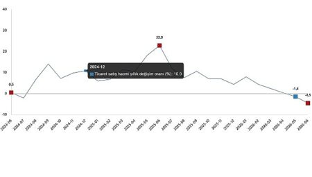 Ticaret Satış Hacim Endeksi, Haziran 2026